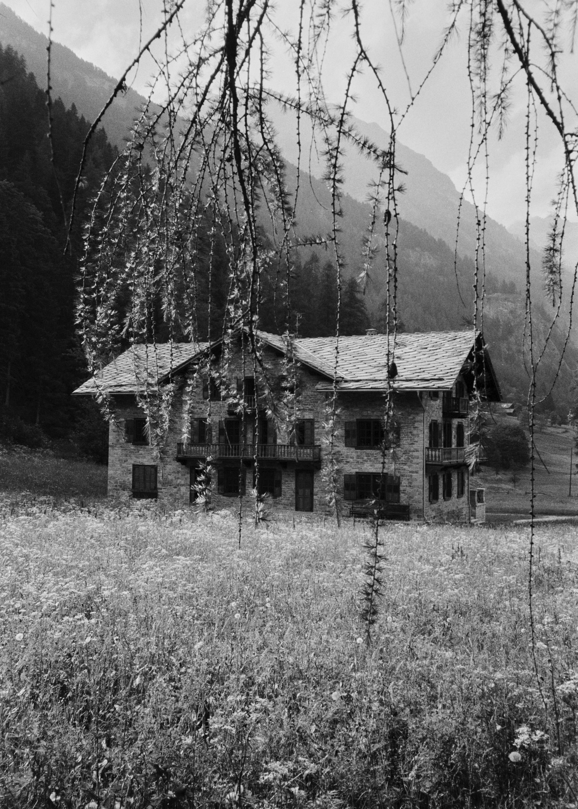 Villa Albertini