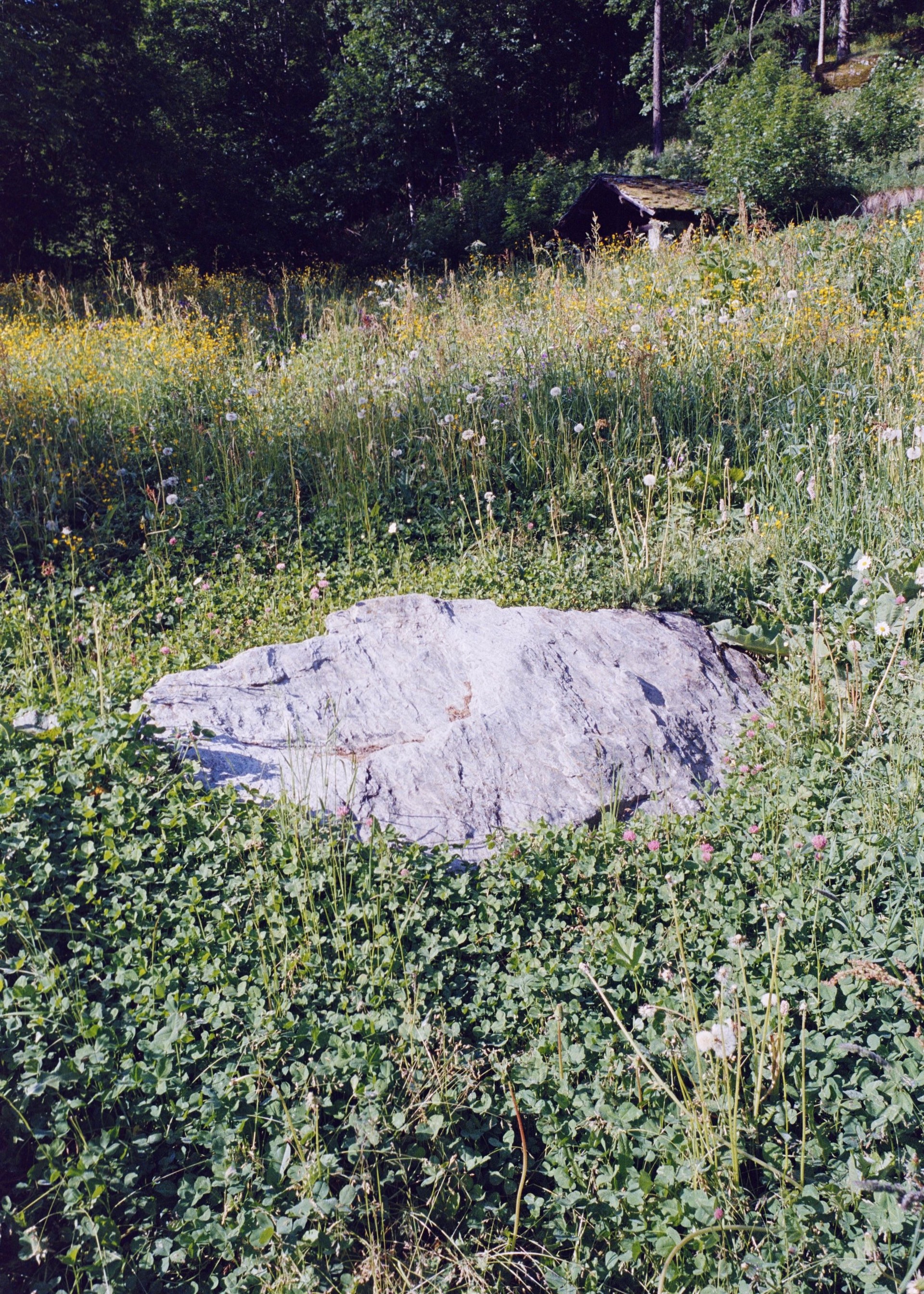 Villa Albertini 3